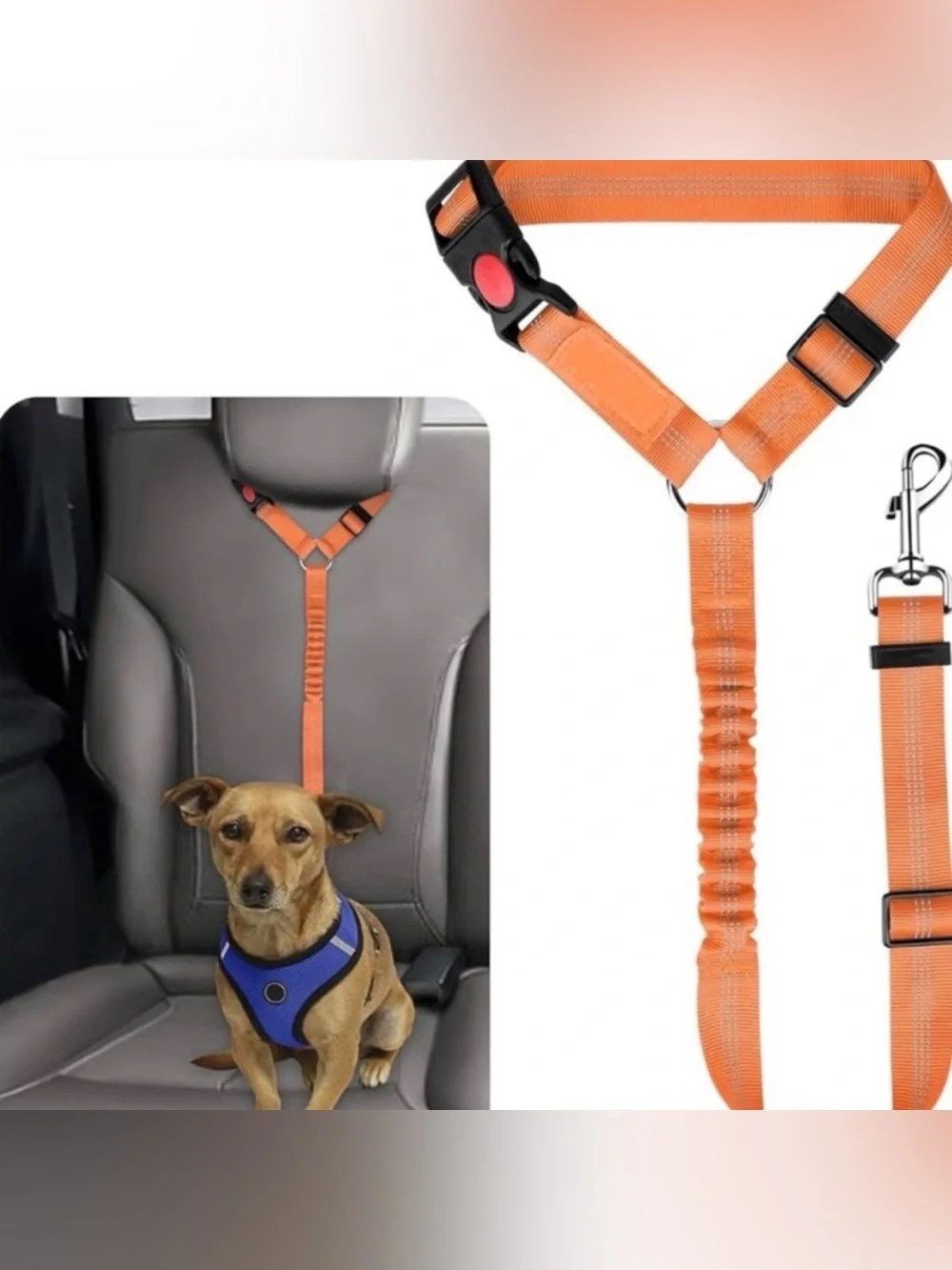 💞 New Reflective Orange Stretchable & Adjustable Puppy Dog Car Seat Belt Leash